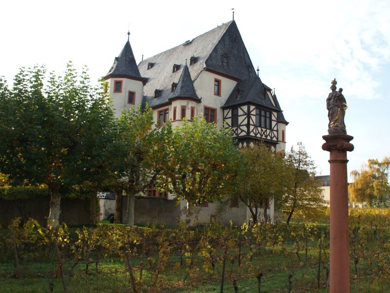 Schloss Schnborn