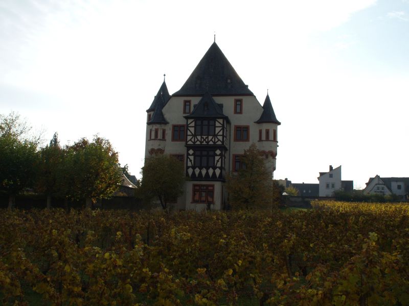 Schloss Schnborn