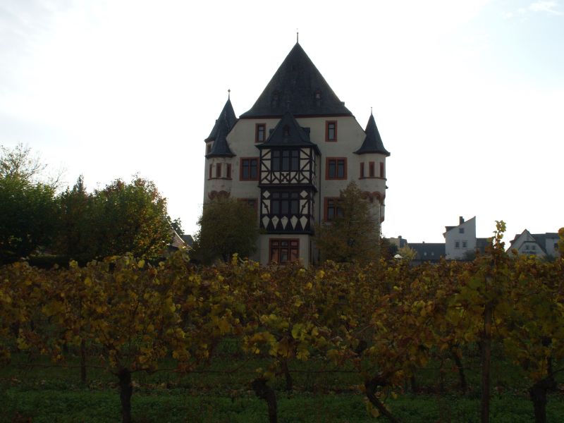 Schloss Schnborn