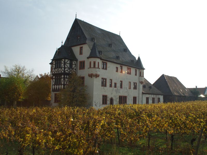 Schloss Schnborn