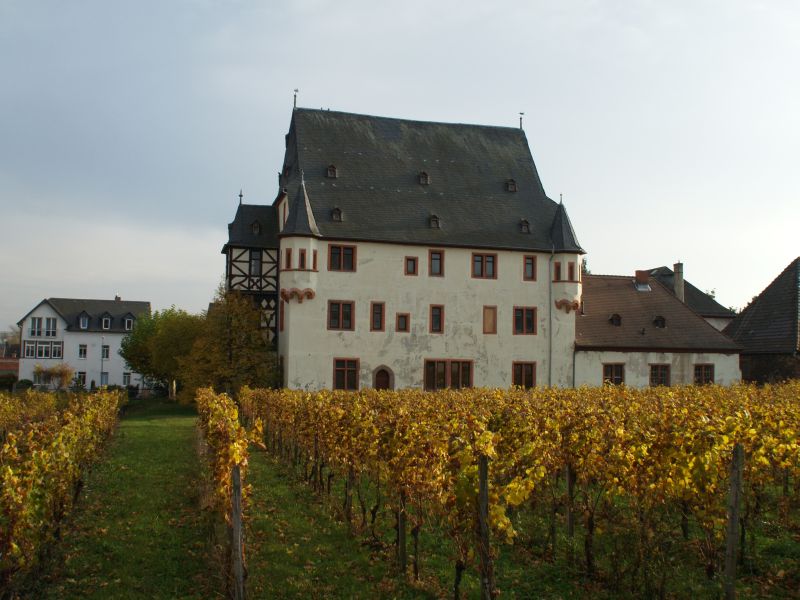 Schloss Schnborn