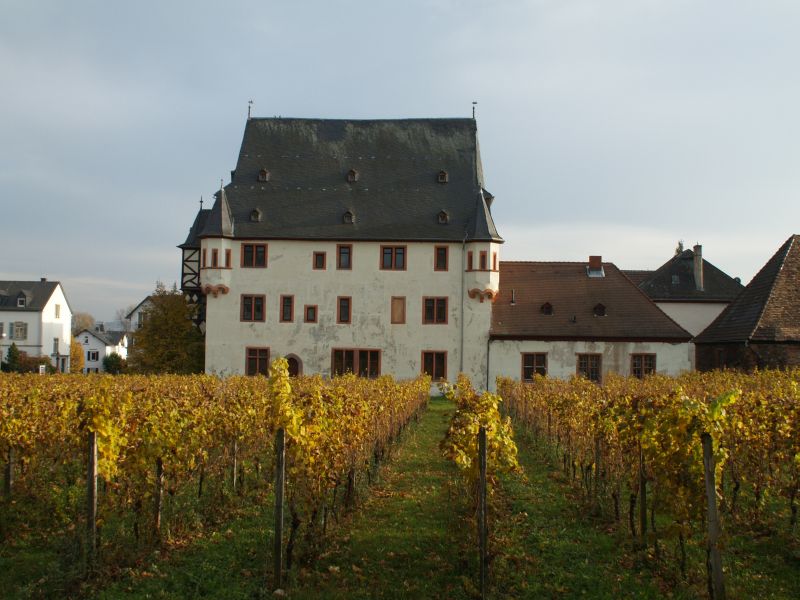 Schloss Schnborn