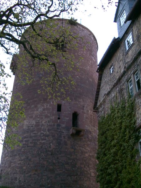 Trendelburg
