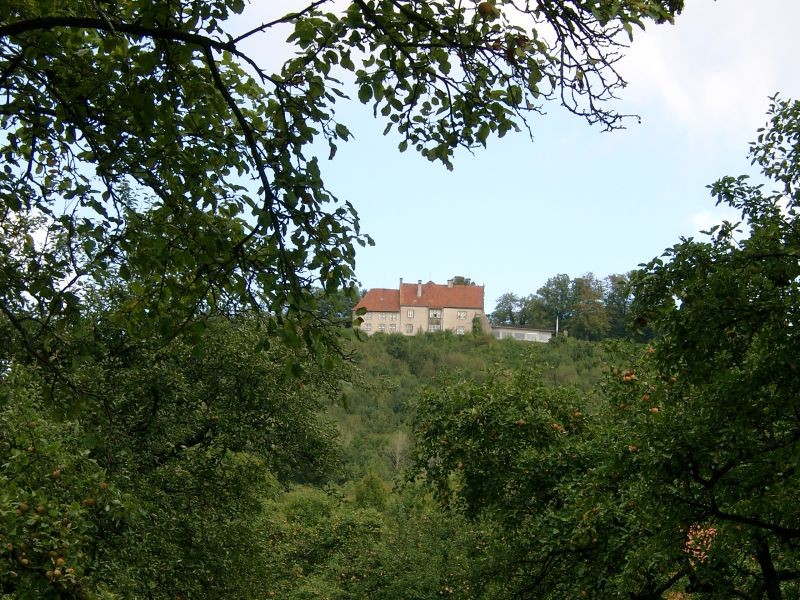 Burg Schaumburg