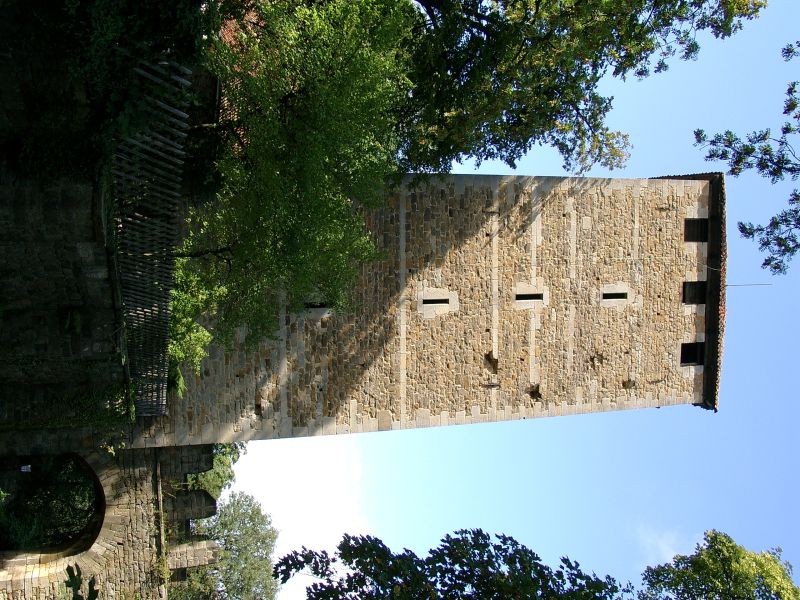 Burg Schaumburg