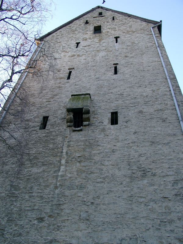 Burg Wittlage