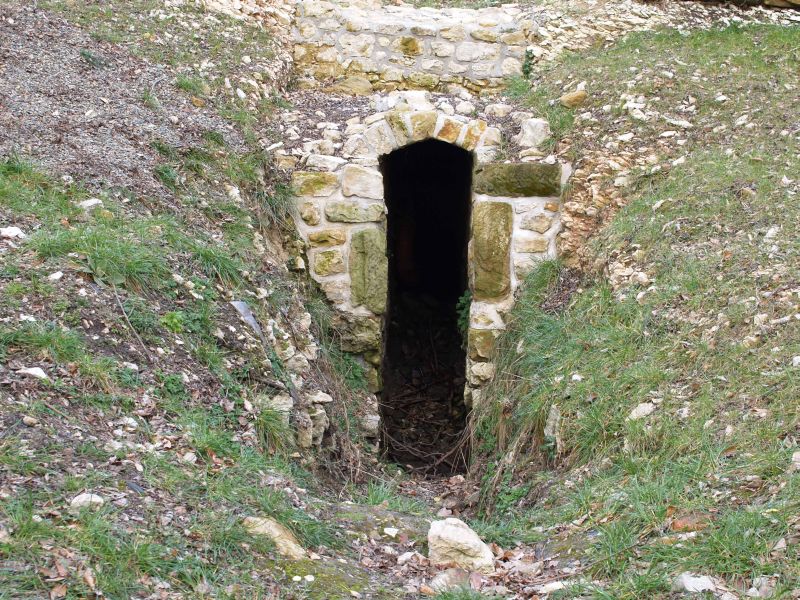 Burgruine Liebenburg