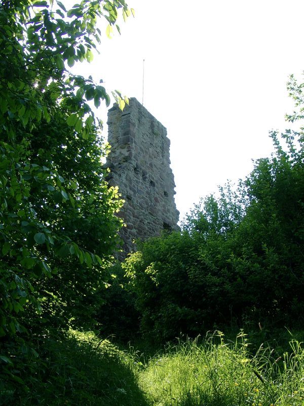 Ruine Lwenburg