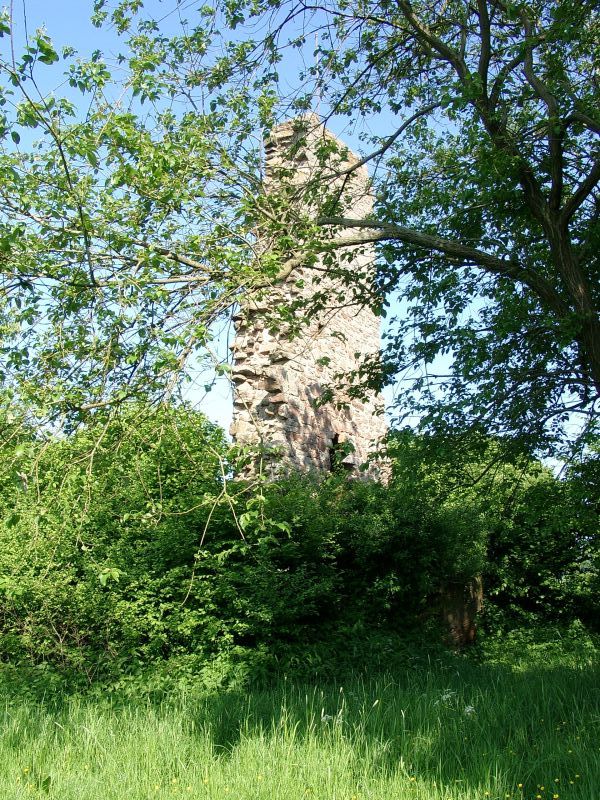 Ruine Lwenburg