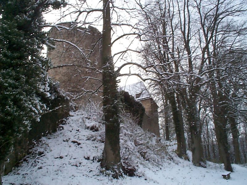 Burg Dringenberg