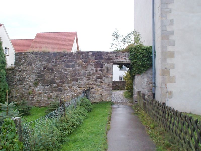 Burg Horn