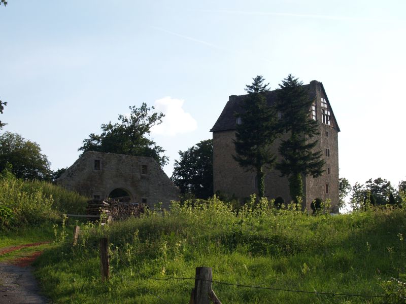Burg Oldenburg