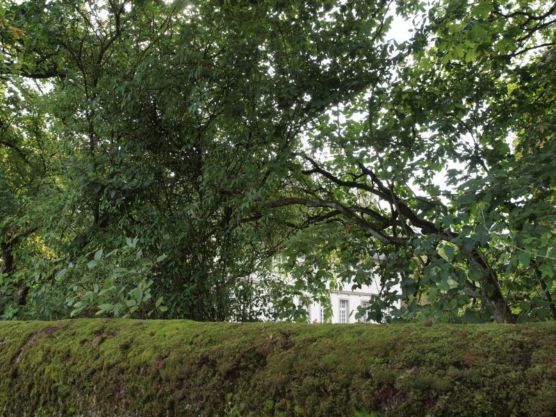 Schloss Vllinghausen