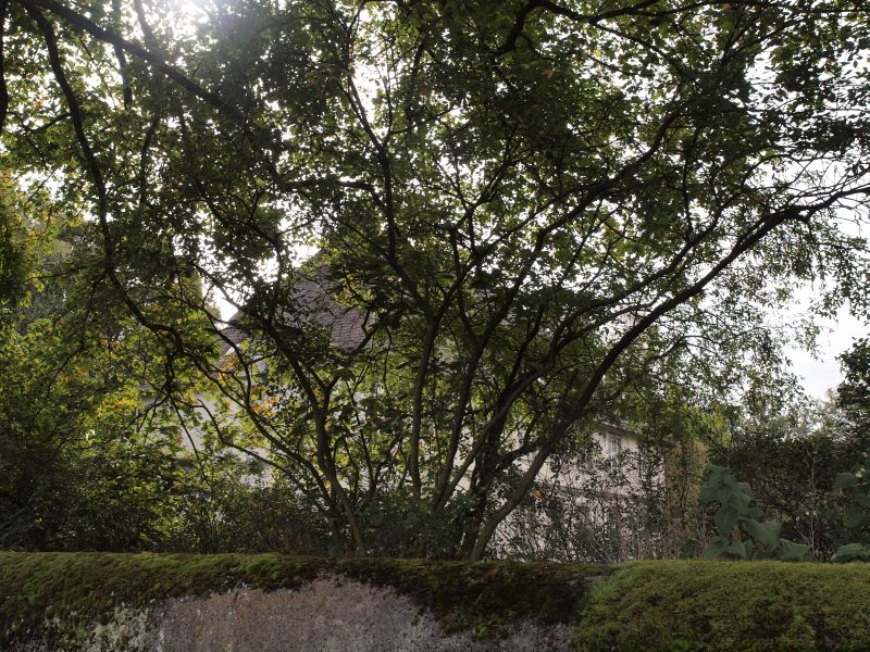 Schloss Vllinghausen