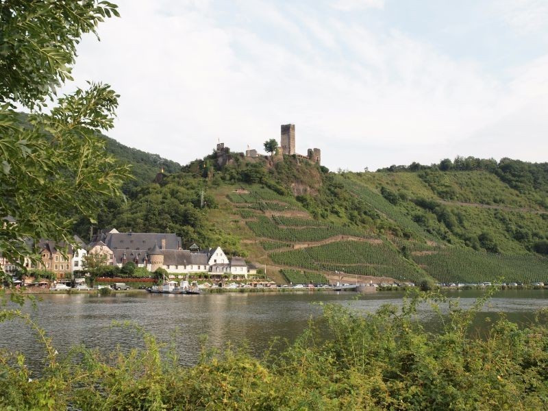 Burg Metternich