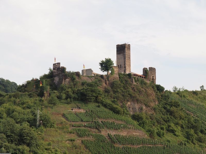 Burg Metternich