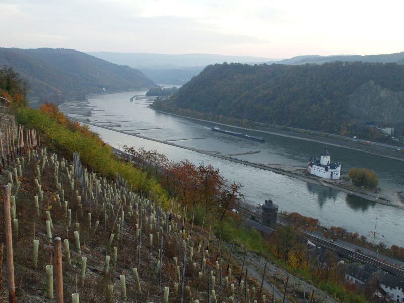 Burg Pfalzgrafenstein