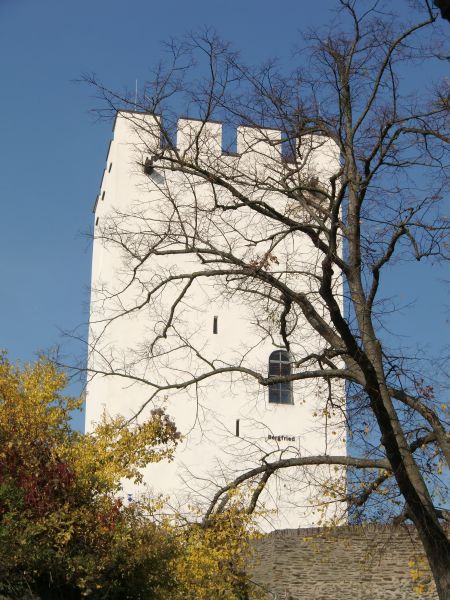 Burg Sterrenberg