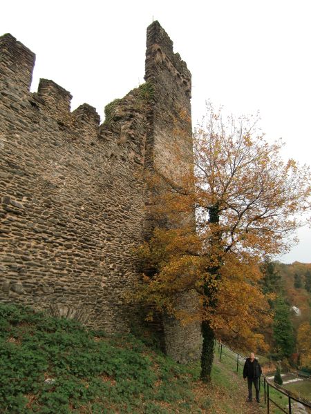 Ruine Altwied