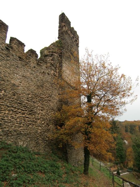 Ruine Altwied