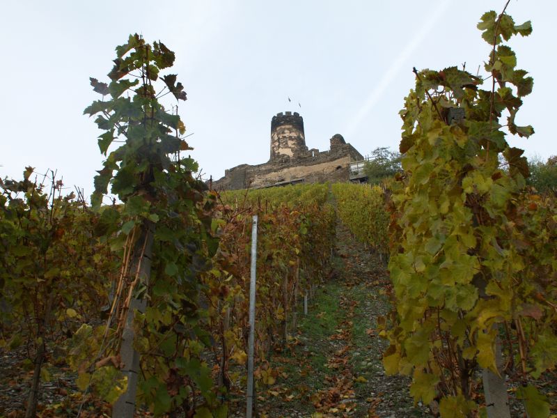 Ruine Frstenberg