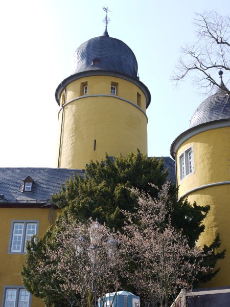 Schloss Montabaur