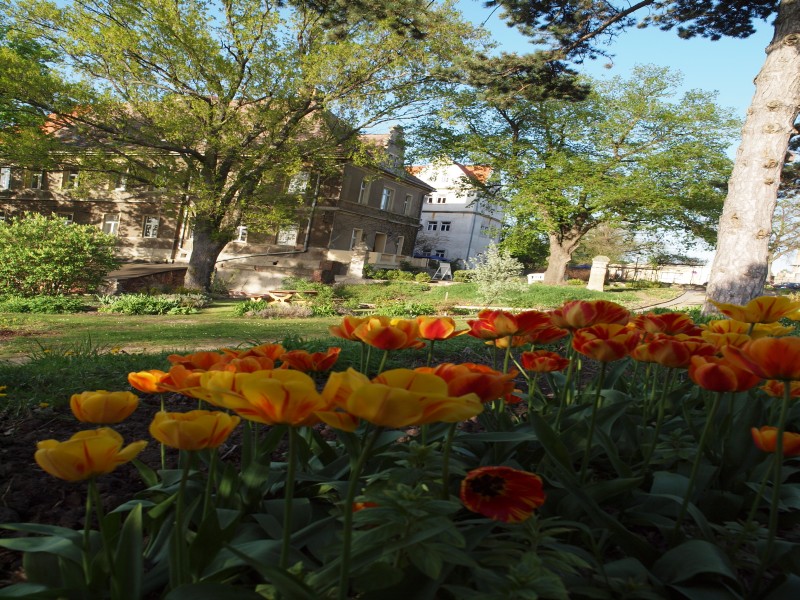 Schloss Hohenerxleben