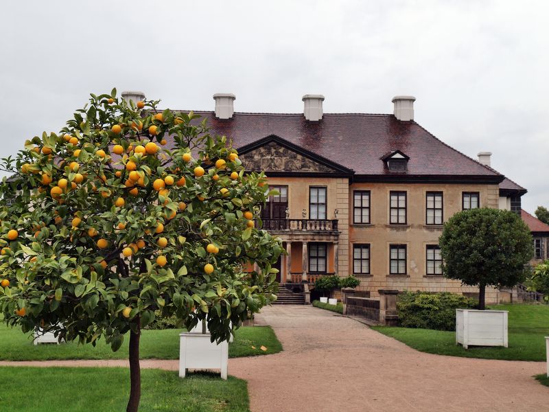 Schloss Oranienbaum