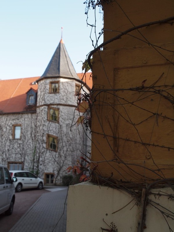 Stadtschloss Hecklingen