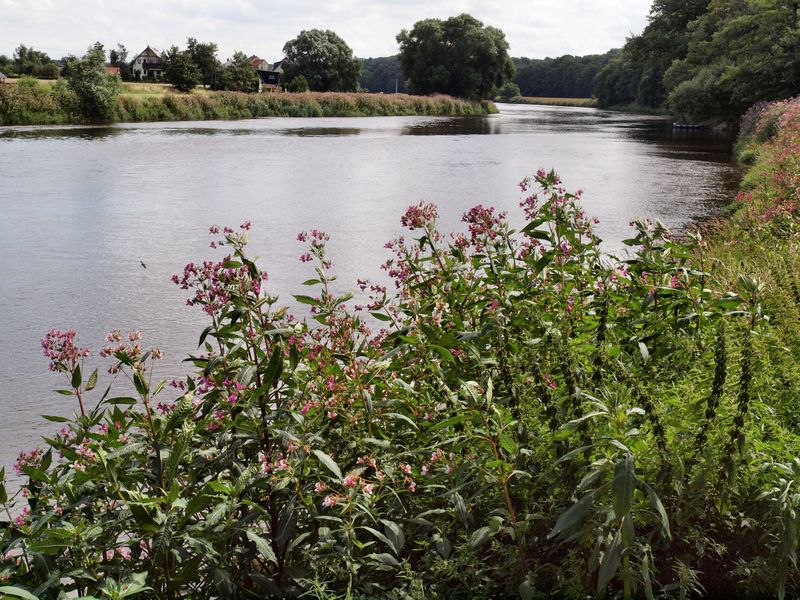 Muldenschlsschen Podelwitz