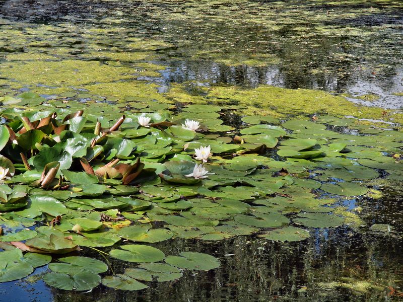 Schloss Lampertswalde